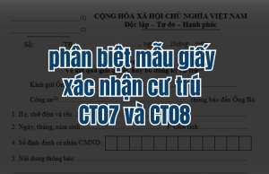phân biệt mẫu giấy xác nhận cư trú ct07 và ct08