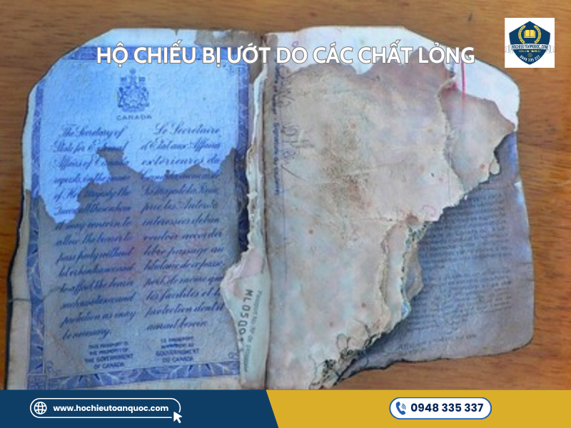 Hướng dẫn xử lý khi hộ chiếu bị mất hoặc hư hỏng Hộ chiếu bị ướt do các chất lỏng